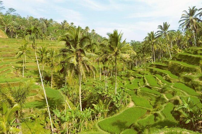 Ubud Combine Mount Batur Kintamani Tour - Frequently Asked Questions