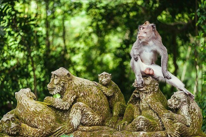 Ubud Costumize Tours - Who Would Love This Tour?