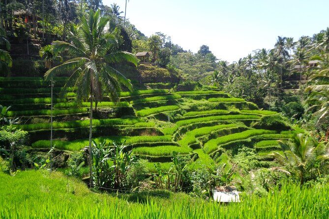 Ubud Costumize Tours - FAQs