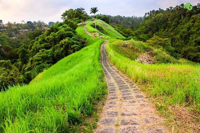Ubud Countryside Tour: Campuhan Ridge Walk and Rice Terrace - A Deep Dive into the Ubud Countryside Tour