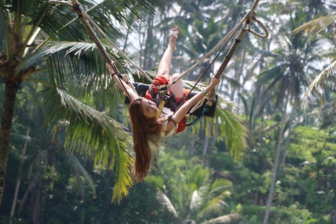 Ubud Cretya Tours and Happy Swing - A Deep Dive into the Experience