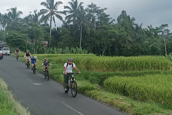 Ubud Cultural and Educational Downhill Cycling Tour - The Itinerary in Detail