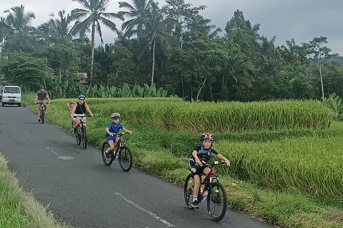 Ubud Cultural and Educational Downhill Cycling Tour - FAQs