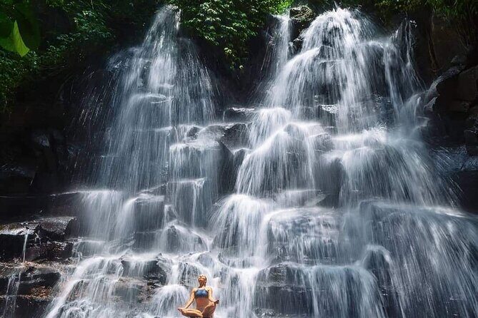 Ubud Customized Full Day Tour - Visit Most favorite In Ubud - Key Points