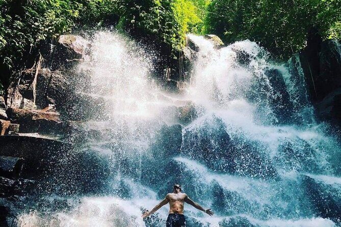 Ubud Customized Full Day Tour - Visit Most favorite In Ubud - The Sum Up