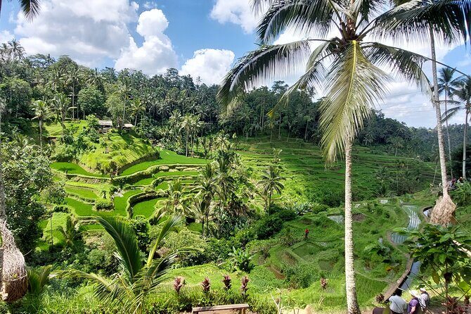 Ubud Customized Private Tour - Who Should Book This Tour?
