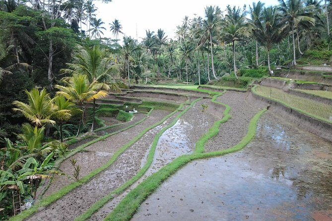 Ubud Customized Private Tour - Frequently Asked Questions