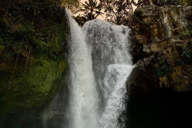 Ubud Day Tour - Private Ubud Tour Guide - Best Of Ubud Tour - FAQ