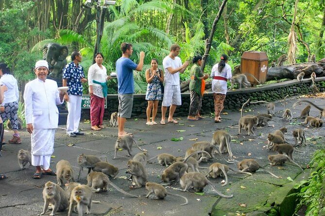 Ubud Day Tour: Sacred Monkey Forest, Tegenungan Waterfall, Rice Terrace - FAQ