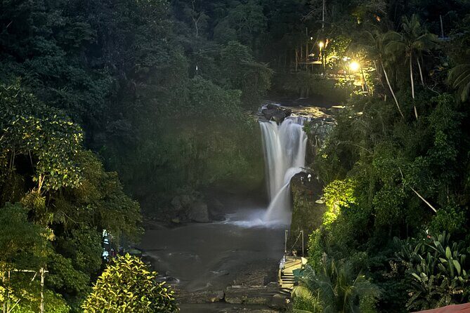 Ubud Day Tour with Private Car & Local Driver - Final Thoughts