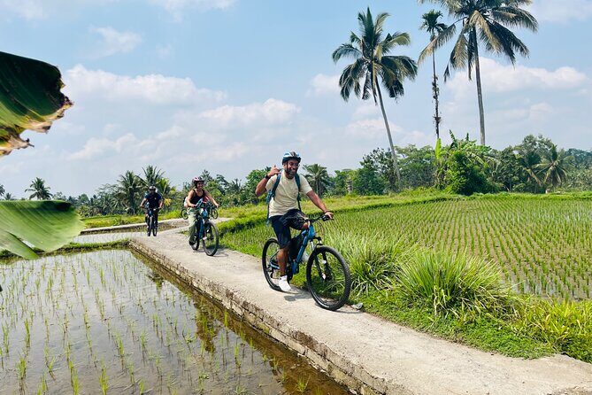Ubud eBikes Tour to Tegallalang Rice Terrace - Who Will Love This Tour?