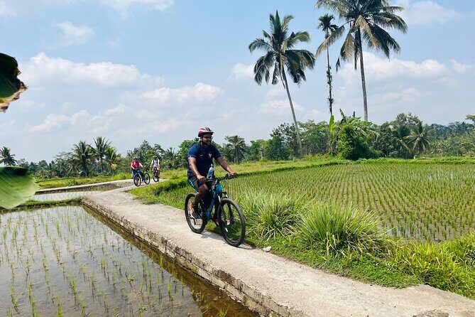 Ubud eBikes Tour to Tegallalang Rice Terrace - Source
