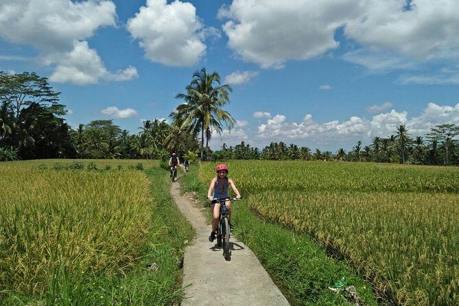 Ubud Eco Culture Cycling Exploration - Discover Ubud’s Hidden Corners on a Bike
