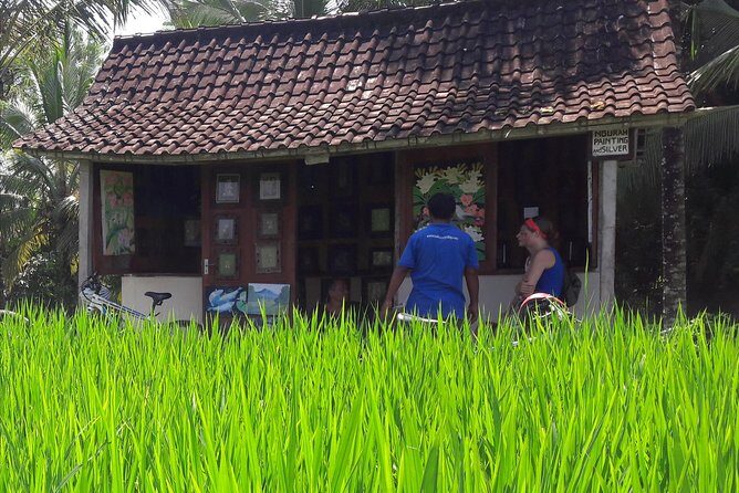 Ubud Eco Culture Cycling Exploration - Who Should Consider This Tour?