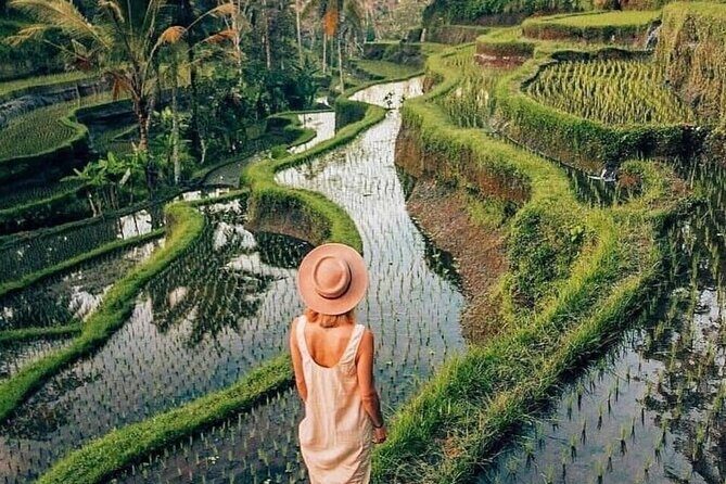 Ubud Explorer Private Day Tour - The Sum Up: Is It Worth It?