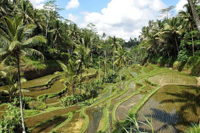 Ubud Explorer Private Day Tour - FAQ
