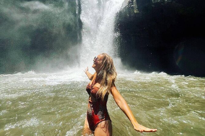 Ubud Full Day All Inclusive Tour - Private Experienece - A Deep Dive into the Ubud All-Inclusive Tour