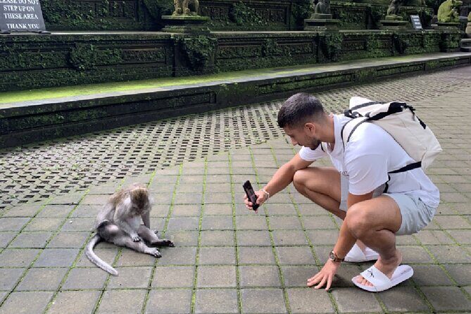 Ubud Full Day All Inclusive Tour - Private Experienece - Final Thoughts