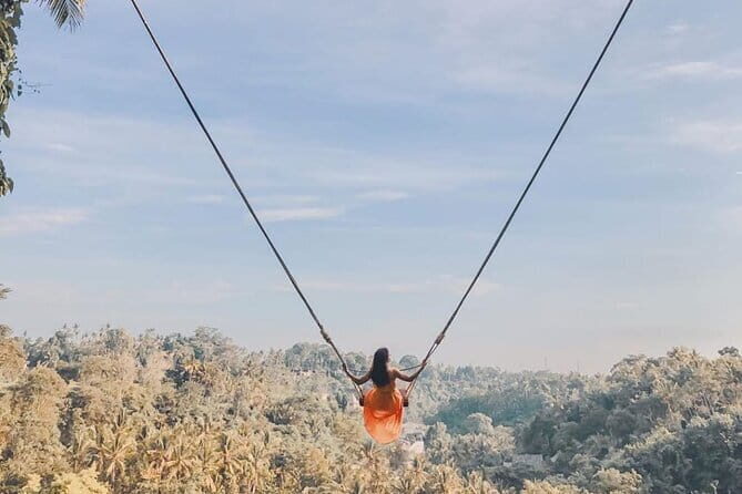 Ubud Full Day - Monkey Forest, Temple and Waterfalls Tour - An In-Depth Look at the Ubud Full Day Tour