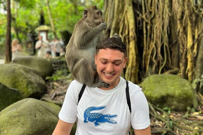 Ubud Full Day - Monkey Forest, Temple and Waterfalls Tour - The Practical Side: What’s Included and What to Expect