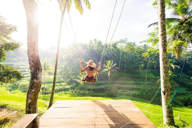 Ubud Full Day Tour Waterfall Monkey Forest Rice Terrace - A Deep Dive into the Ubud Full-Day Tour Experience