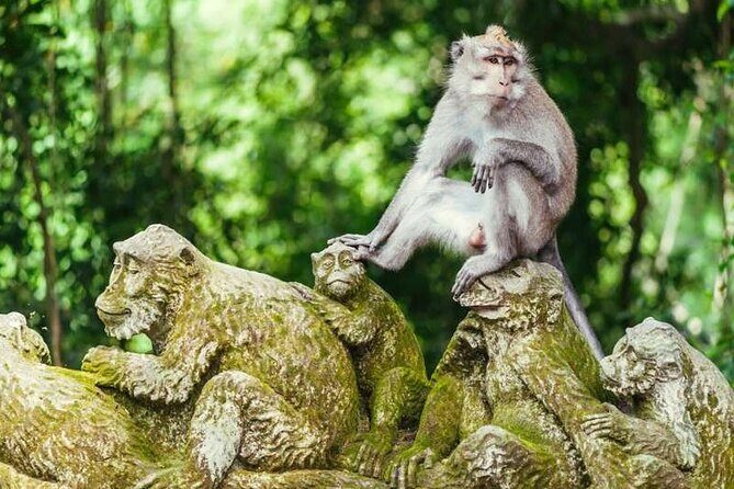 Ubud Full Day Tour Waterfall Monkey Forest Rice Terrace - The Sum Up