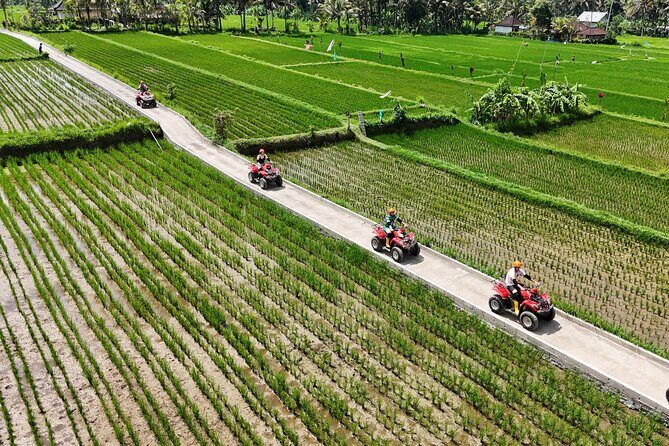 Ubud Gorilla ATV Quad Bike Adventure with Meal - Why This Tour Is a Great Fit
