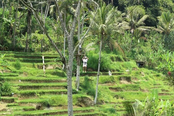 Ubud Half Day Zipline and Jungle Swing - How This Tour Compares in Value