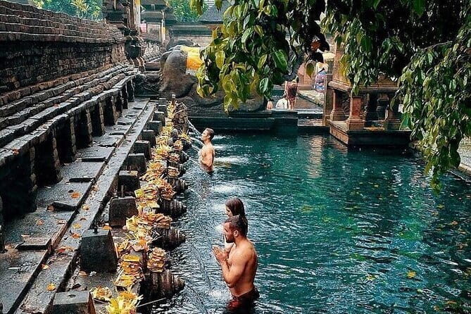 Ubud Hidden Gems Waterfall, Temple and Rice Terraces Private Tour - The Sum Up