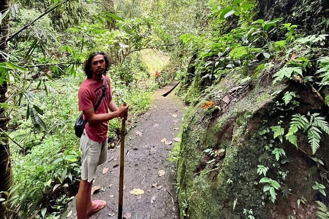 Ubud Highlights Full-Day Tour - Small Group - Key Points