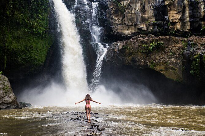 Ubud Iconic Full Day Tour Monkey Forest Rice Terraces Waterfalls - A Deep Dive into the Ubud Iconic Full Day Tour