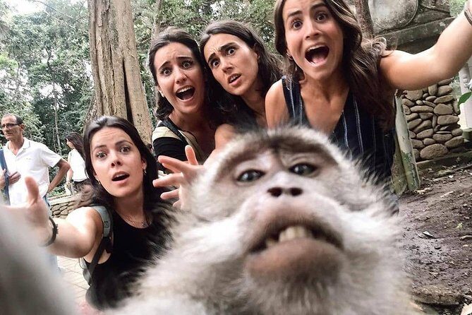 Ubud Monkey Forest, Holy Water Temple & Waterfalls Tours - Final Thoughts: Is This Ubud Tour Worth It?