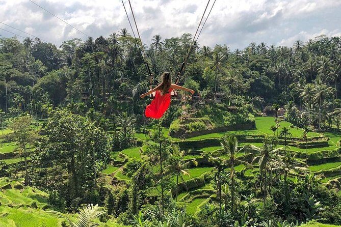 Ubud: Monkey Forest, Jungle Swing, Rice Terrace, and Water Temple - A Deep Dive into the Ubud Experience