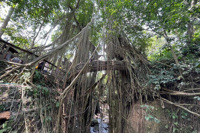 Ubud Monkey Forest Sanctuary Entrance Ticket All Inclusive - FAQ