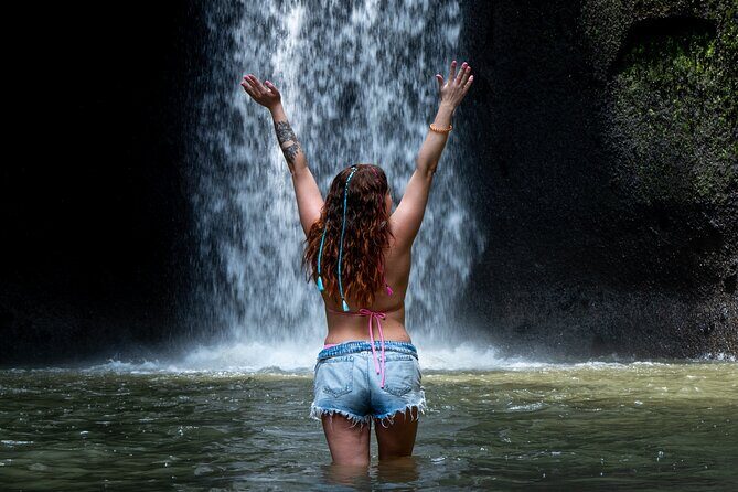 Ubud Monkey Forest, Scenic Rice Terrace with Swing and Waterfall - Exploring Ubud’s Top Attractions with a Private Guide