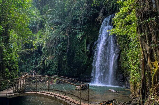 Ubud Private Chasing Waterfall and Water Temple Tour - Key Points
