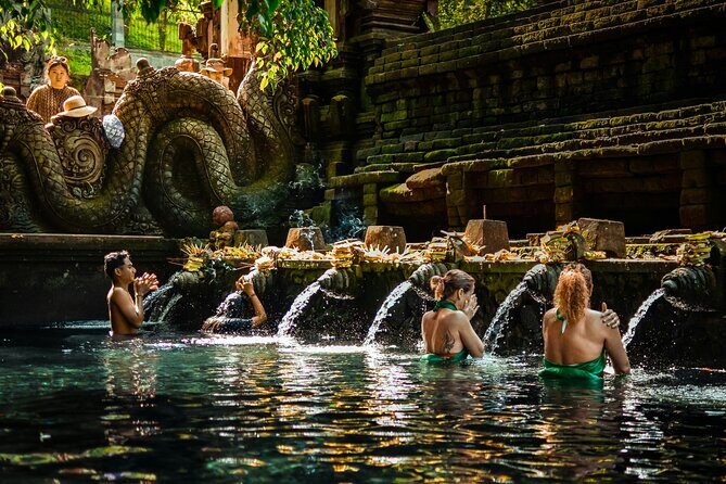 Ubud Private Full-Day Tour: Waterfall, Temples & Rice Terraces - Who Will Enjoy This Tour?
