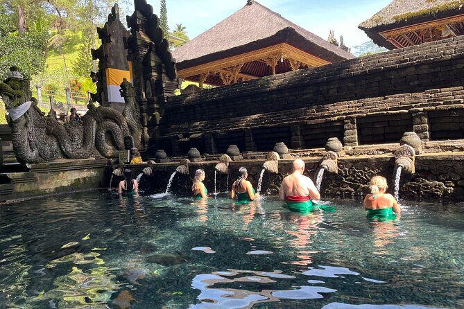 Ubud Private Nature and Temple Tour - Who Is This Tour Best For?