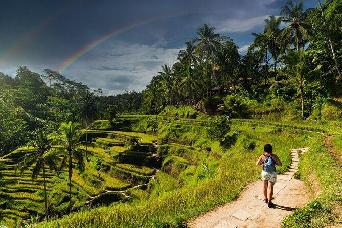 Ubud Private Tour: Monkey Forest - Tirta Empul Temple - Tegenungan Waterfall: Nature’s Power