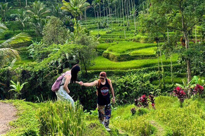 UBUD Private Tour Rice Terrace, Jungle Swing & Hidden Waterfall - Discovering Ubud’s Natural Wonders and Cultural Gems