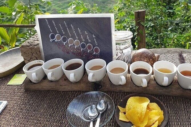 UBUD Private Tour Rice Terrace, Jungle Swing & Hidden Waterfall - The Sum Up