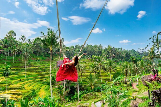 Ubud Private Tour: Waterfalls, Temple and Rice Terraces Swing - Key Points