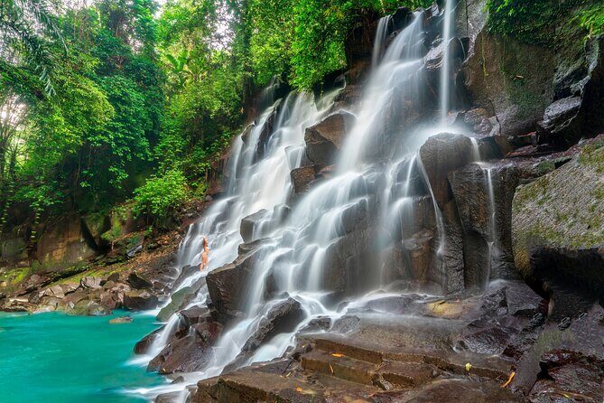 Ubud Private Tour: Waterfalls, Temple and Rice Terraces Swing - FAQs