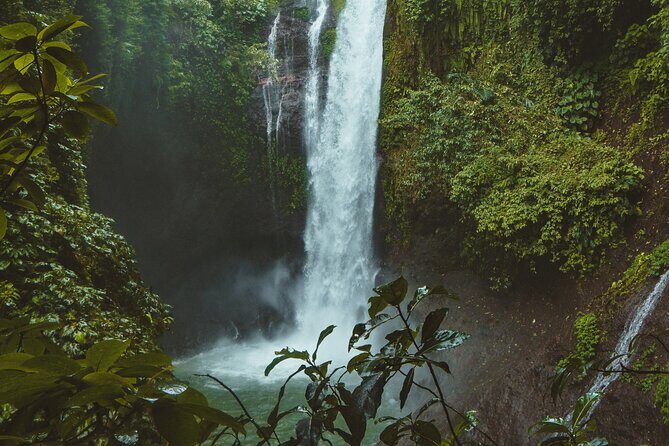 Ubud private tours - What We Love About the Tour