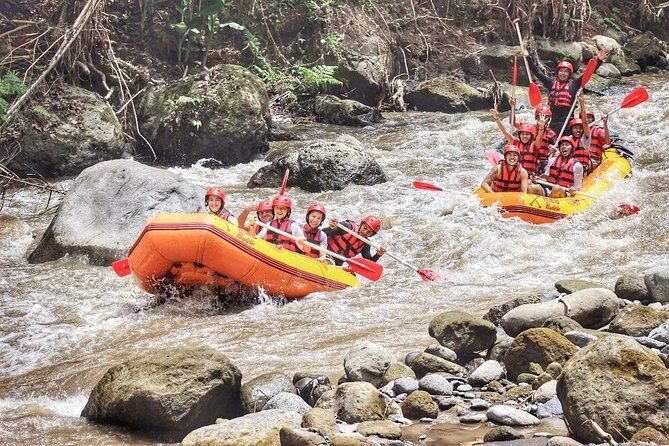Ubud Rafting With Private Return Transport - The Itinerary: From Hotel Doorstep to River Rapids