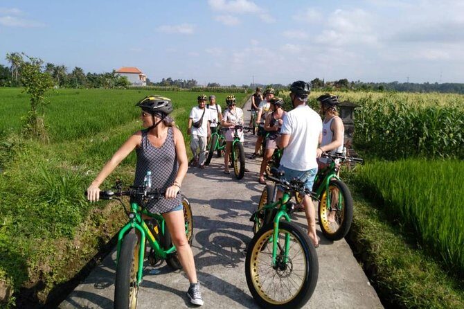 Ubud Rice Terraces eBike Private Tour - Experience the Ubud Rice Terraces eBike Private Tour