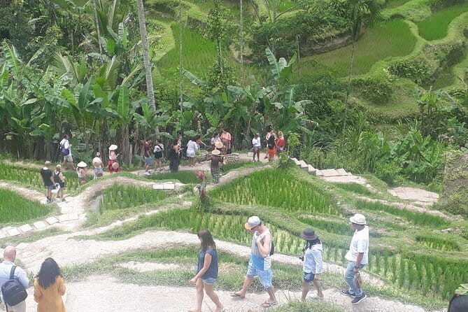 Ubud Romantic Floating Lunch Jungle Swing and Waterfall - Key Points
