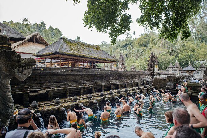 Ubud Small Group Tour: Monkey Forest, Tegalalang Rice Terraces and more - Discovering Ubud: What the Tour Offers