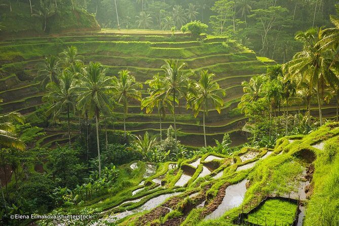 Ubud Surounding Tour - Practical Tips for Travelers
