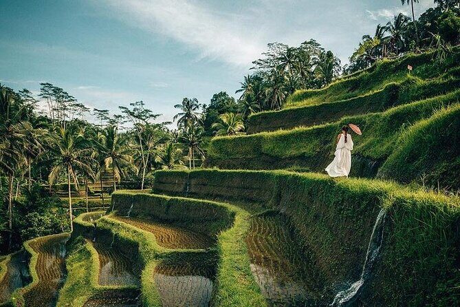 Ubud: Swing - Monkey Forest - Waterfall - Temple - Rice Terraces - Art Crafts - Key Points